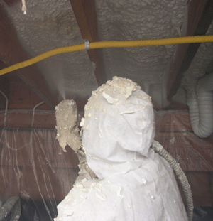 Alexandria VA crawl space insulation